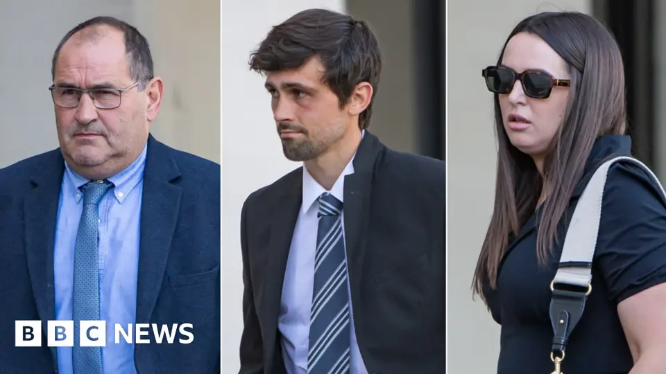 Ceredigion councillor acquitted of illegal dog breeding and fraud in Swansea