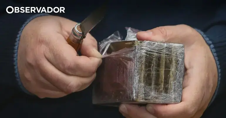 Jovem detido em Aveiro com mais de 7.600 doses de haxixe fica em prisão preventiva