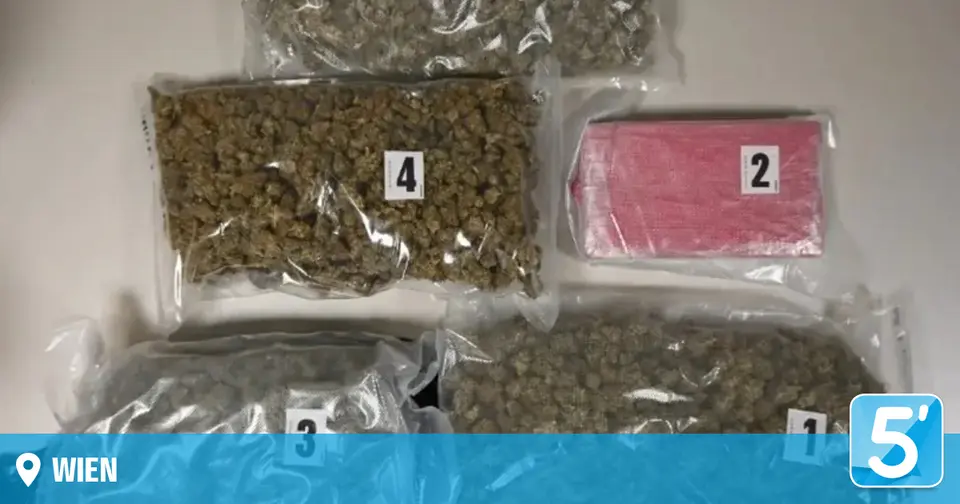 Cobra deployment in Vienna: 3.3 kilos of drugs seized, six arrests
