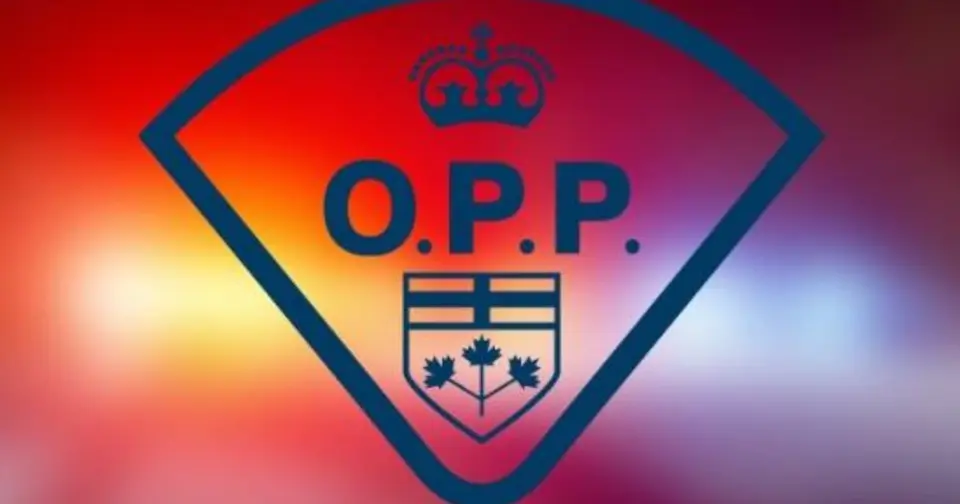 Man from St Catherine charged with murder after fatal altercation in Ontario