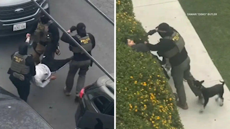 ICE agent points gun at bystander during violent North Hollywood arrest