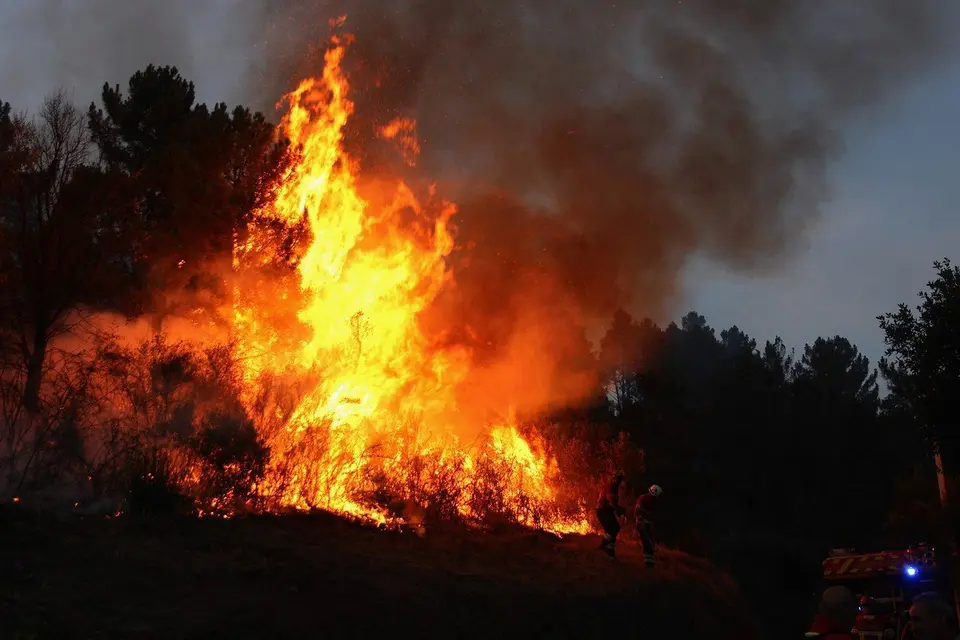 64-year-old man arrested in Sabrosa on suspicion of forest fire caused by wax candles