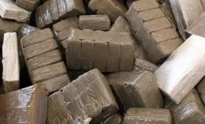 Tanger : 700 kg de haschich dissimulés dans de fausses pastèques, quatre arrestations
