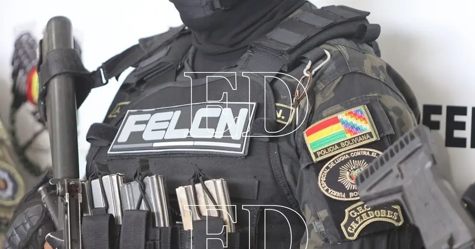Felcn decomisa 840 paquetes de marihuana en frontera boliviana con Chile