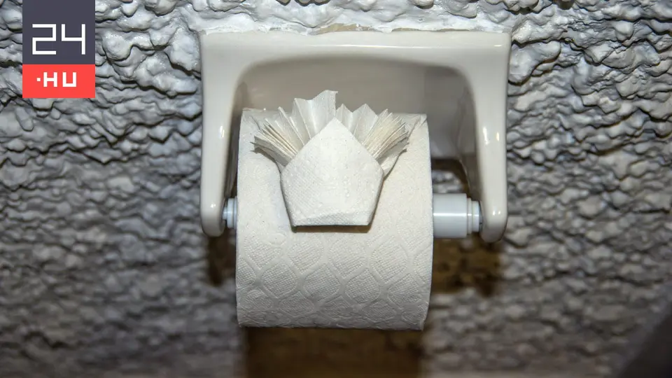Budapest corruption scandal: bribery hidden behind toilet paper, exceeding two billion forints