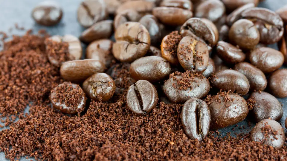 Kaffeeschmuggel in Sohland: 800 Kilogramm unverzollt aus Tschechien