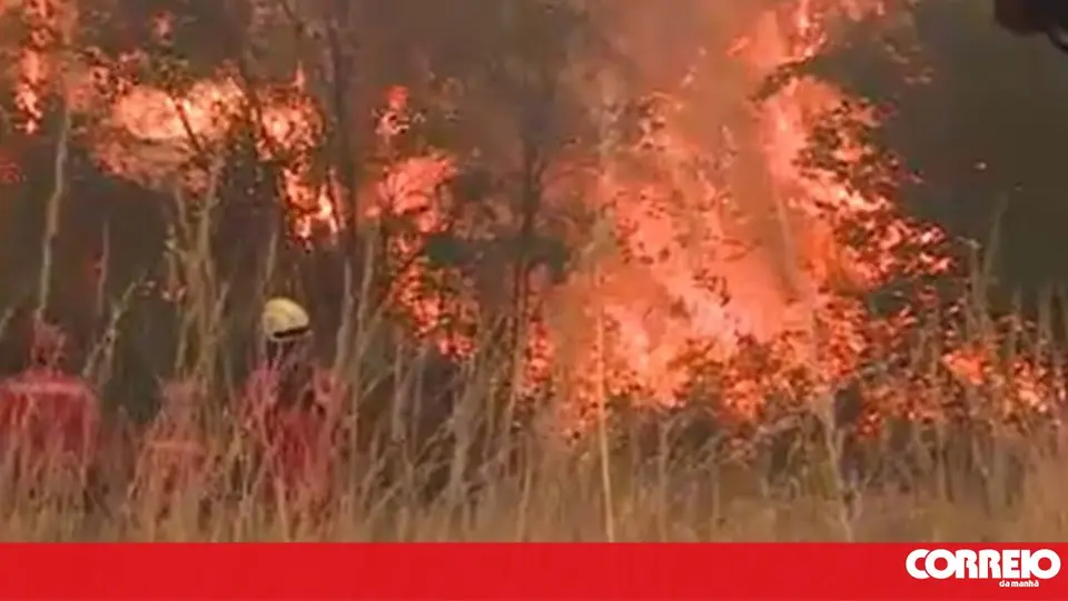 Homem de 53 anos capturado por seis incêndios na Amadora