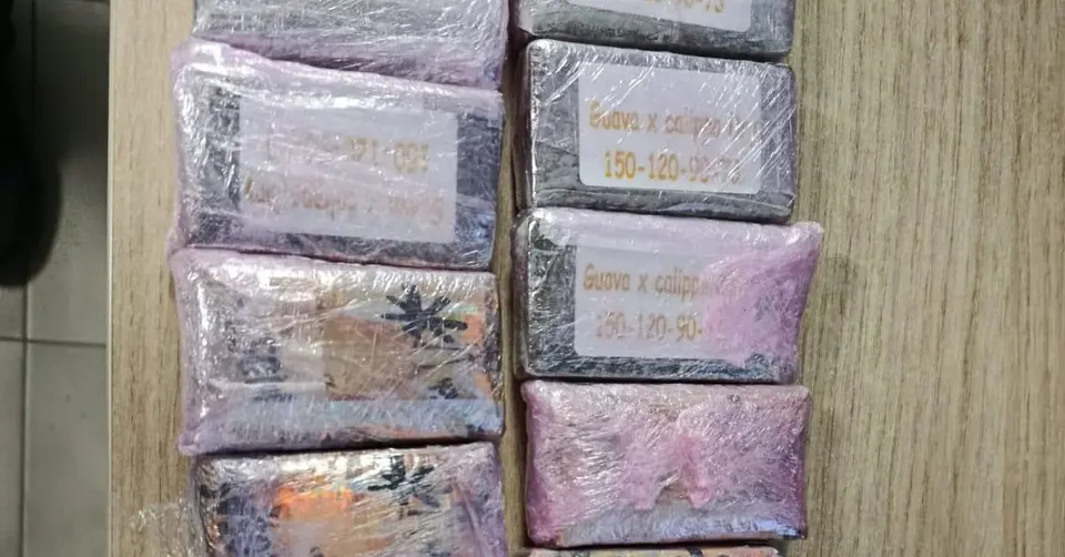 Interceptado en Ceuta un hombre que ocultaba hachís en los tobillos en la frontera de El Tarajal