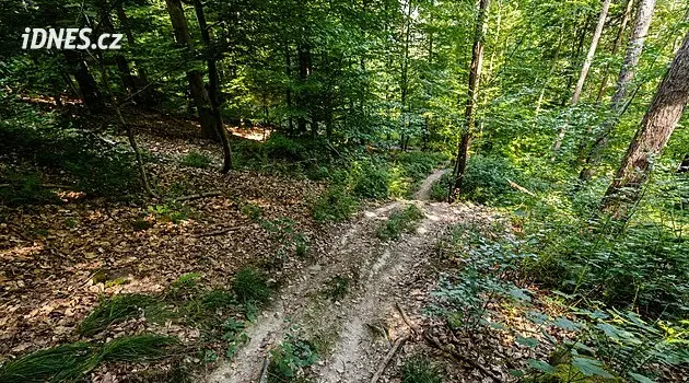 Jäger in Deutschland wegen Mordversuchs angeklagt – Stacheldrähte über Radweg gespannt