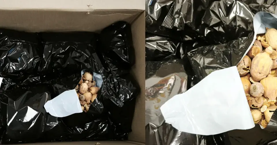 Fresh drug seizure in Limassol: 8 kilograms of dried poppy pods and arrest of 30-year-old