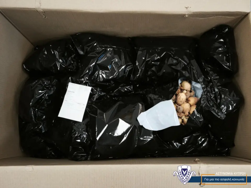 Indian man held over drug importation via Larnaca airport