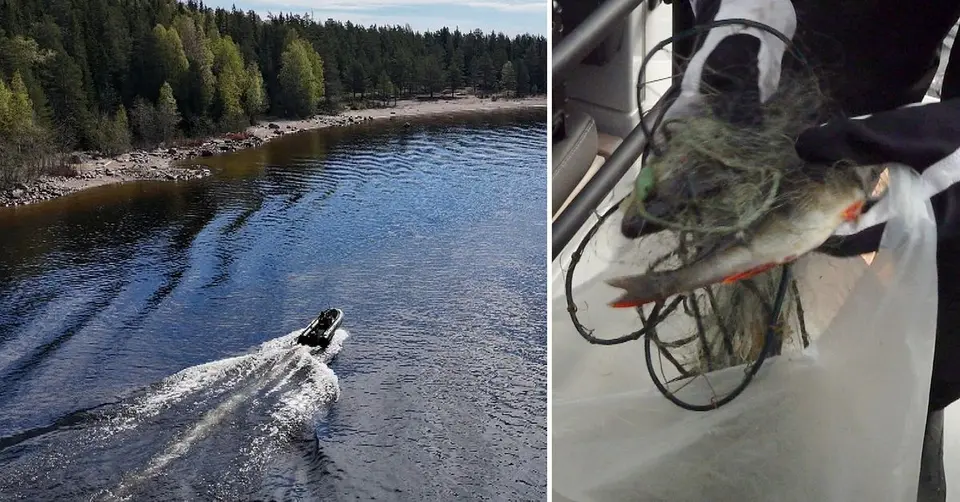 Länsstyrelsen jagar tjuvfiskare i Kalix skärgård med illegala nät