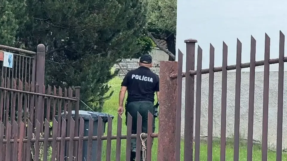 Po prepustení z väzby zavraždil manželku, súd predtým odmietol jej žiadosť o ochranu