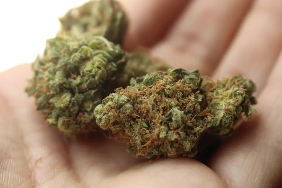Drugs and weapons discovered during break-in report in Sautens