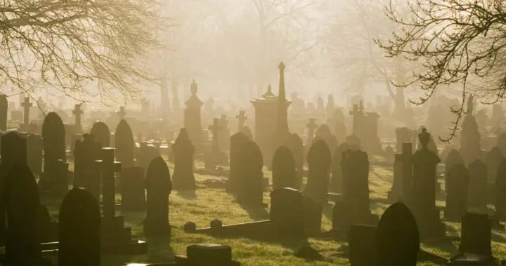 Man arrested in Budapest for collecting human body parts from graves and workplace