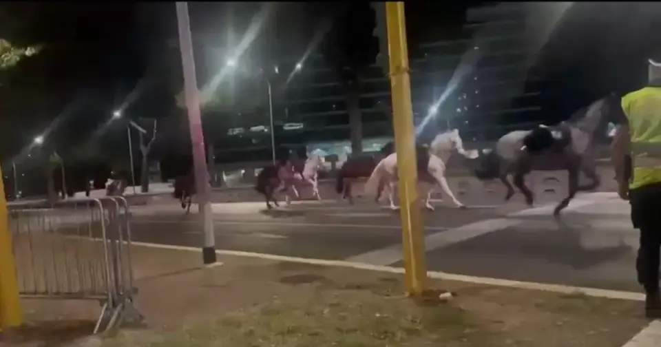 Police officer sets off fireworks without authorisation: panic among horses, injuries in Rome