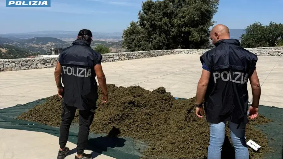 Operazione antidroga a Sarule: sequestrata cannabis trattata con sostanza sintetica, arrestato un 31enne