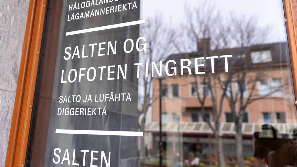 Teenager skal i norsk ret for overgreb mod barn under 14 år