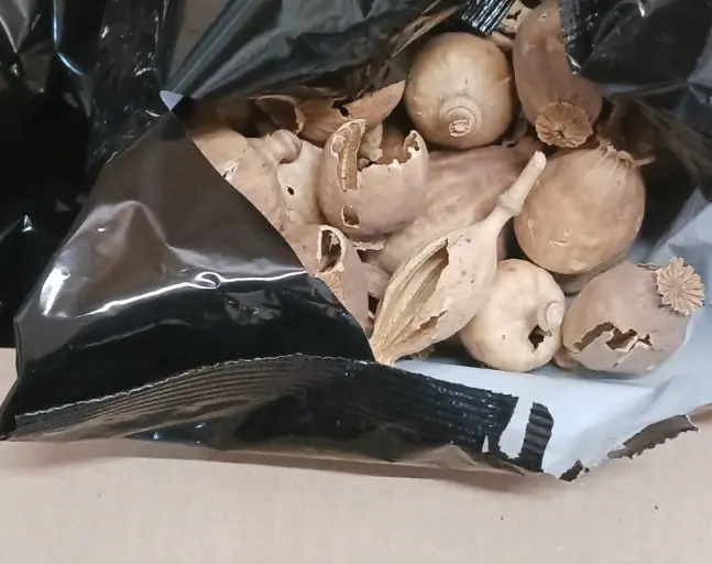 Three arrests for trafficking poppy bulbs via courier