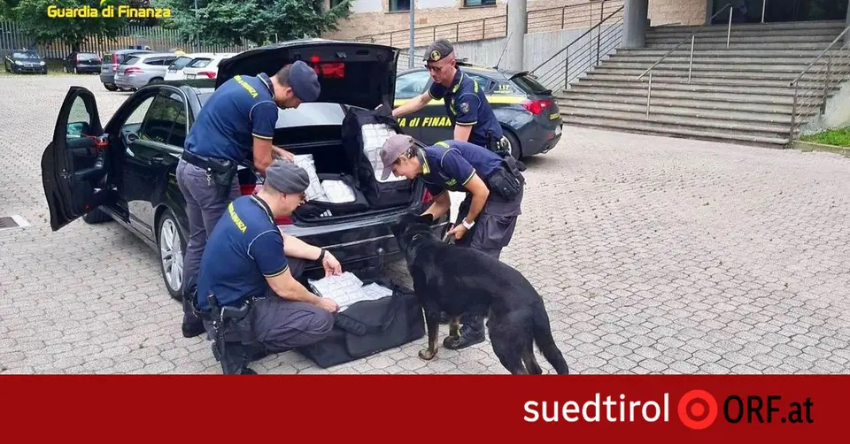 Financial Police: 16-month report from South Tyrol, fraud exceeding 55 million euros