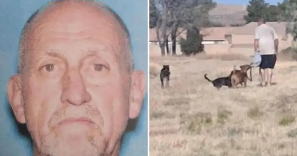 Dog owner arrested after boy drowns fleeing pets at Kern County lake