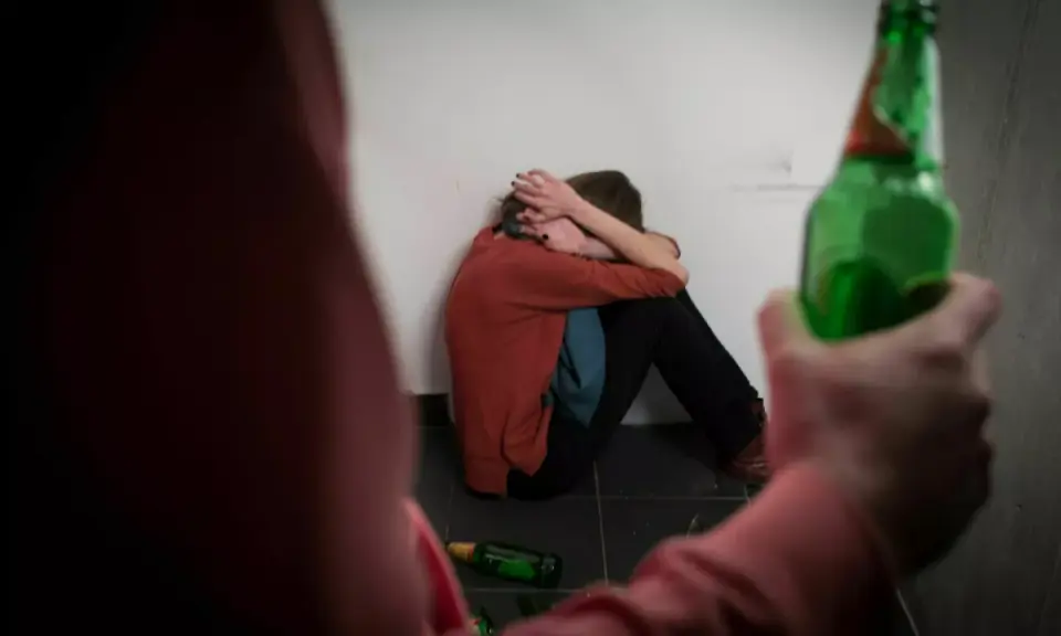 Court rejected plea for protection against violent family member