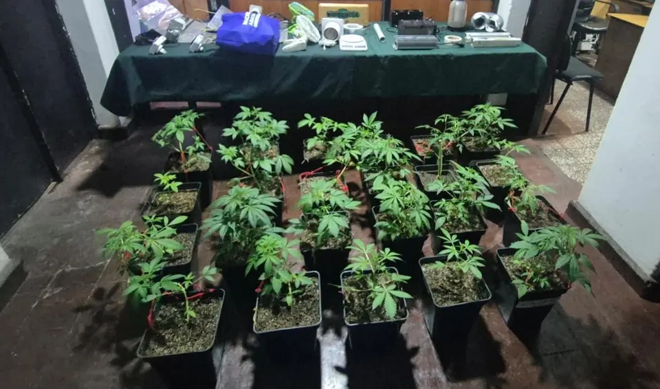 Operativo por hurto de animales en Chile Chico termina con arresto por narcóticos