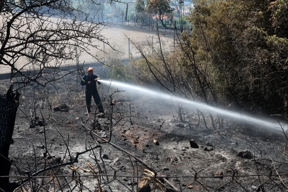 Five arrests for fires caused by negligence in four regions