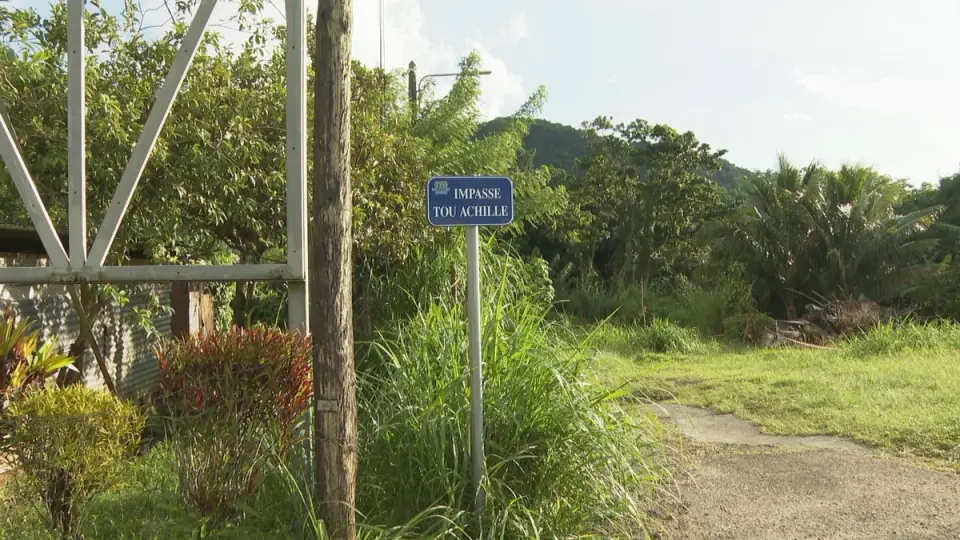Father of family shot dead in Morne-Vert, suspect turns himself in