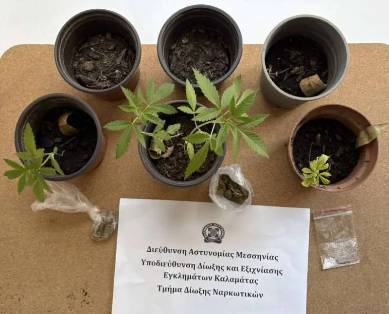 Messenia: 50-year-old Austrian arrested for cultivating narcotic plants