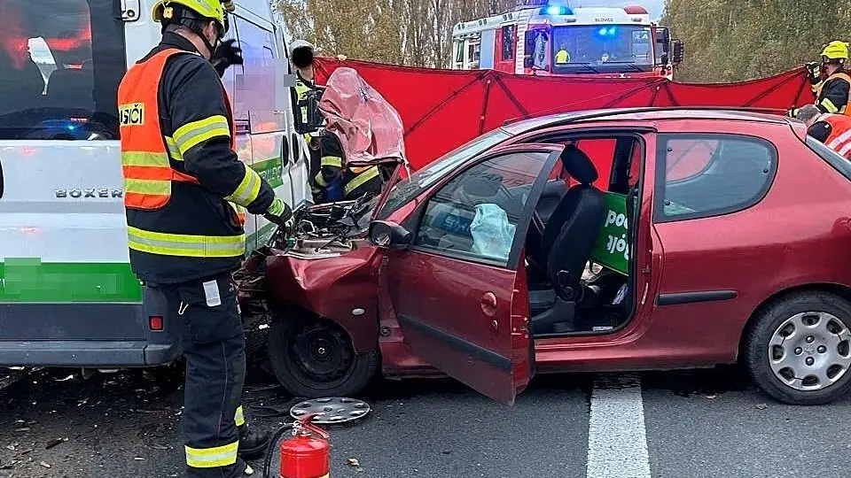Mother deliberately drove into oncoming traffic and killed her daughter: agreed to 14 years imprisonment
