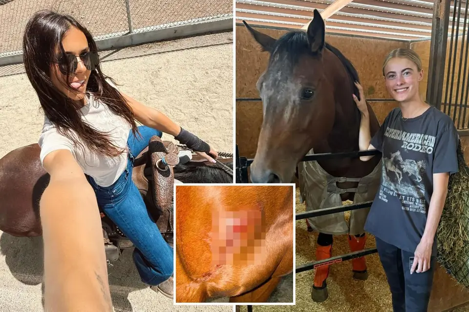 Teen Barrel Racer Charged With Stabbing Three Horses at Las Vegas Competition