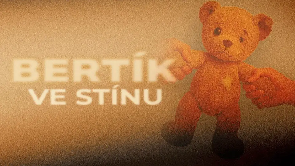 Stížnost na Českou republiku ve Štrasburku: ústavní soudce upozorňuje na pochybení v kauze pětiletého chlapce