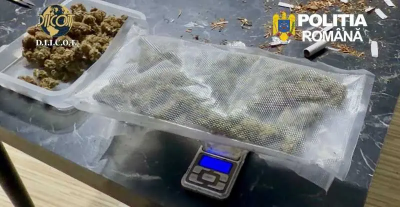 Trafic de droguri la Bacău: doi reținuți cu 1,5 kg canabis și cocaină