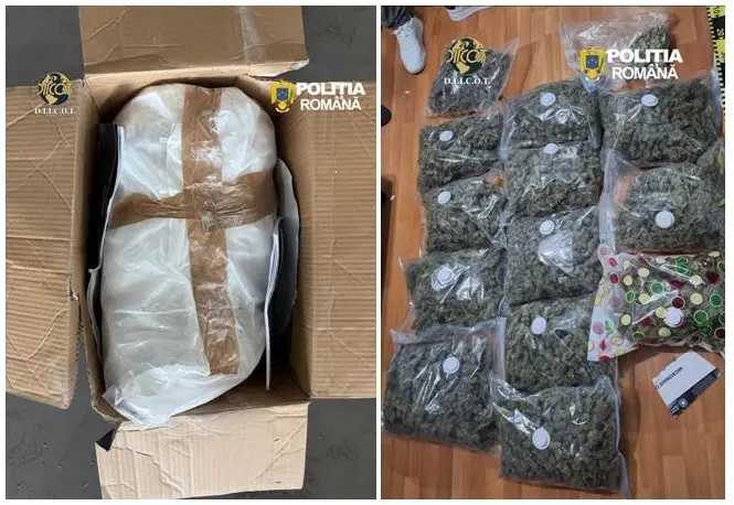 Trafic internațional de droguri în Vrancea: doi arestați, 45 kg de canabis confiscate