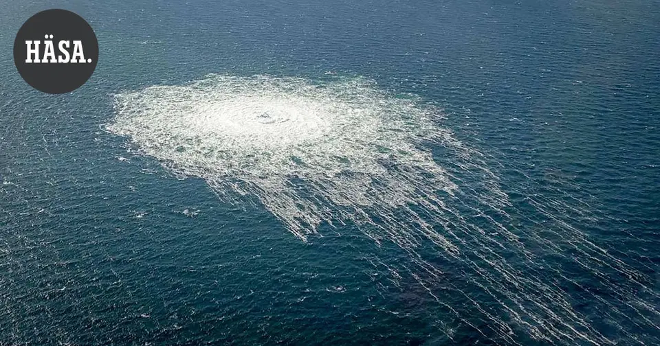 Staatsanwälte: Ukrainische Behörden ordneten Nord-Stream-Sabotage an – Prozess im Herbst in Deutschland