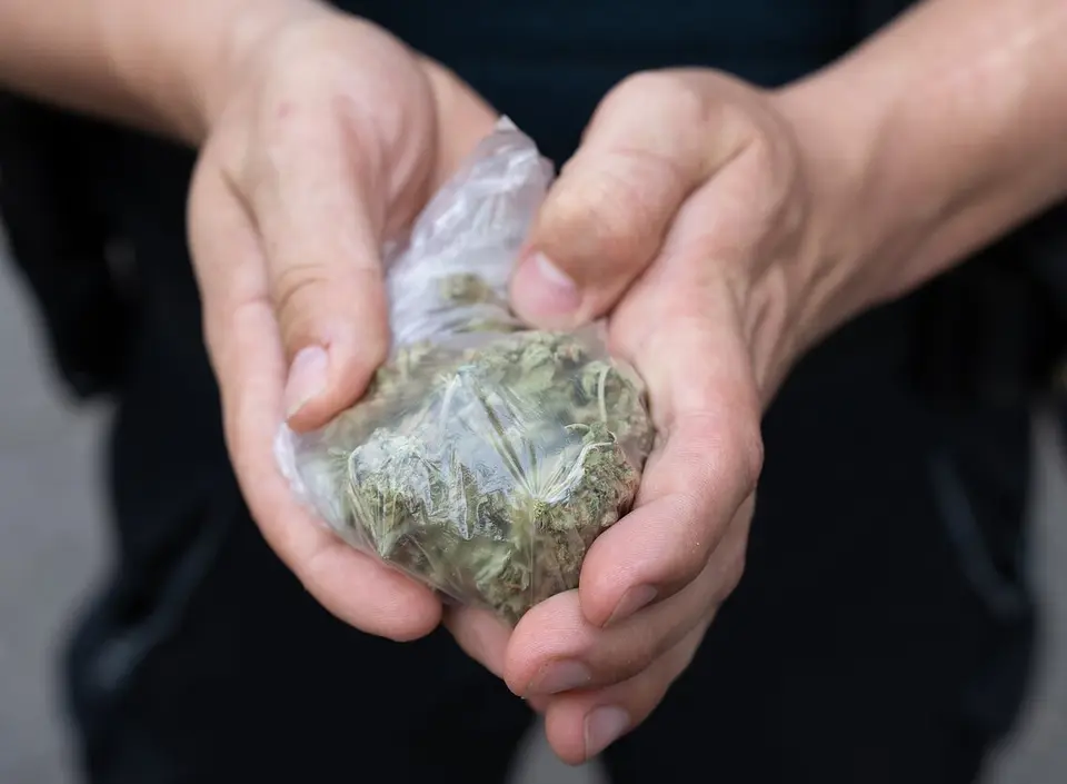Im Hamburger Hafen wurden 1,2 Tonnen Cannabis beschlagnahmt, acht Verdächtige festgenommen