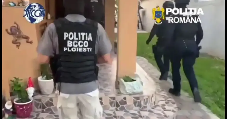 Seven young people arrested in cannabis-dealing case in Prahova. Five held under house arrest, two under judicial supervision