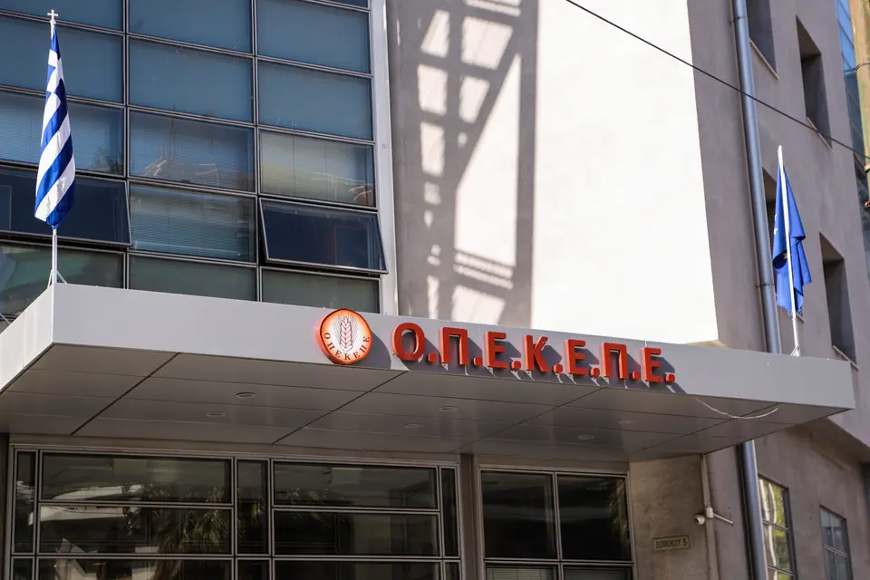 Former OPEPE officials convicted of harbouring and breach of duty