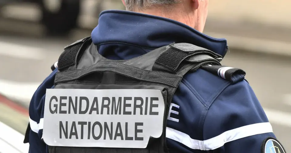 Dix kilos de kétamine saisis dans des emballages de nourriture pour chiens près de Grasse