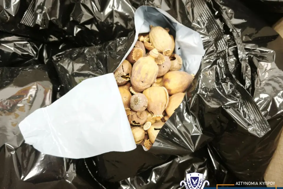 Methamphetamine network dismantled: 21 people in custody and two sought