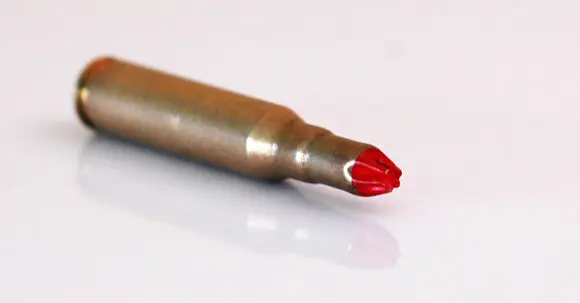 Fifteen rounds found in Vilnius park – investigation launched into illegal possession