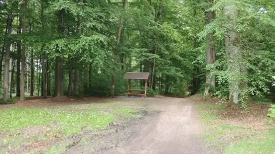 Kriminalisté hledají mladou ženu jako klíčovou svědkyni chebského incidentu