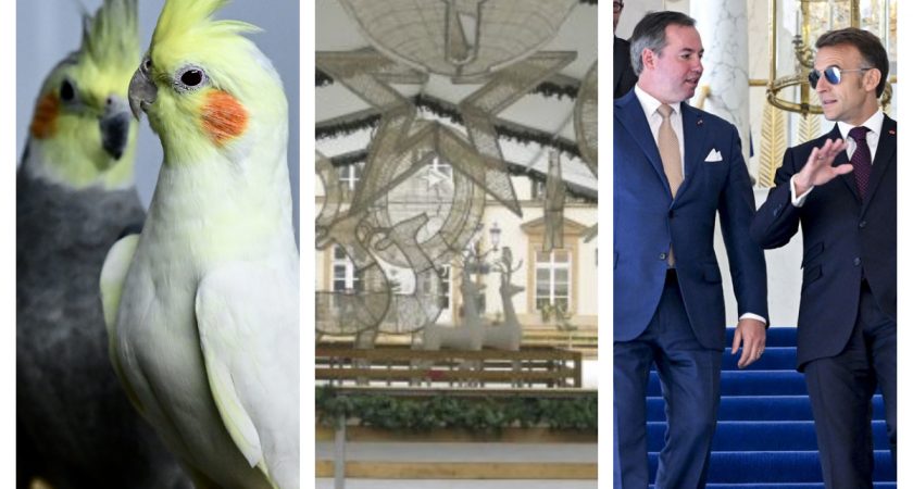 Justice : seuls l'artiste et son assistant condamnés dans la mort d'Emran