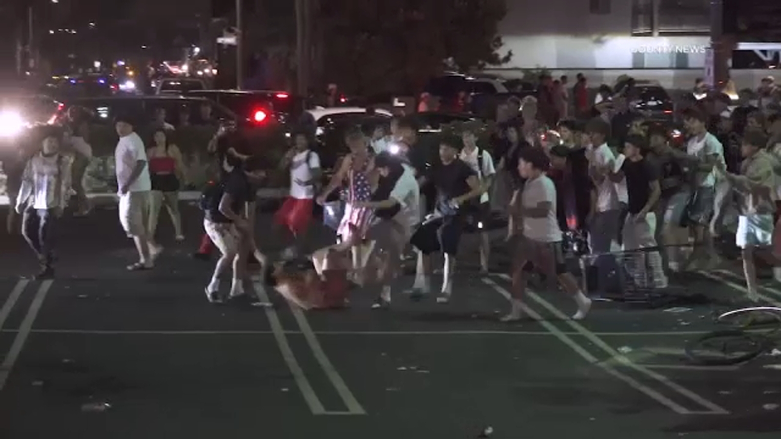 Holiday Gathering in Southern California Turns Disorderly, Over 100 Detained