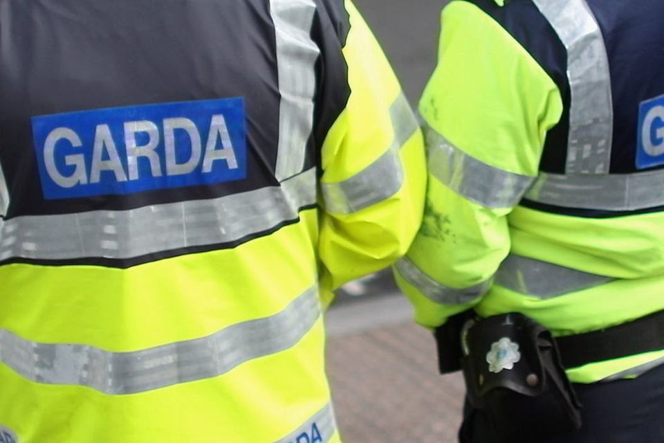 Woman fatally attacked at Portlaoise home; second man left fighting for life in Dublin