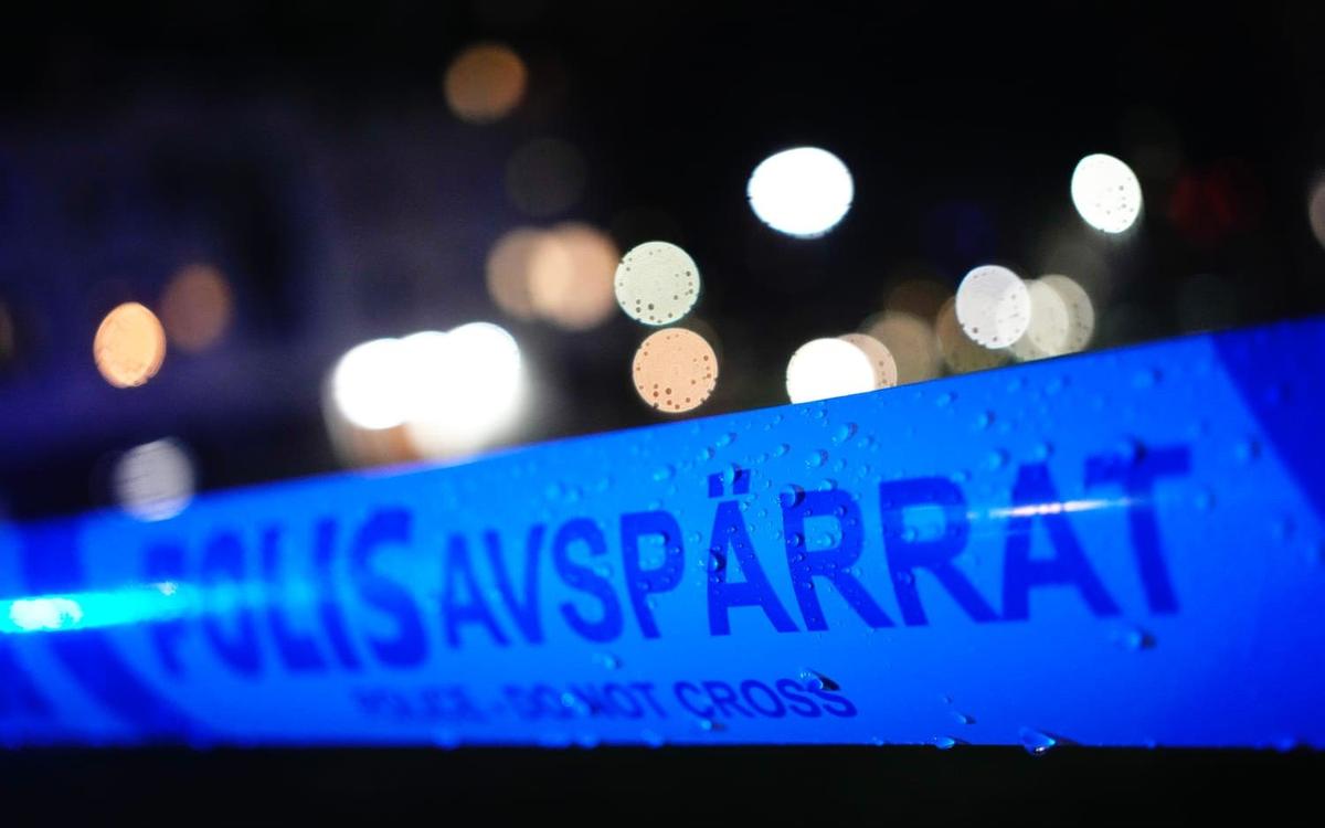 Man döms till nio års fängelse för knivattack mot polis i Orsa
