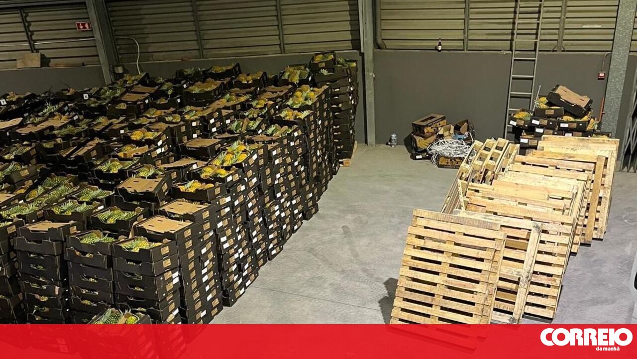 MP pede penas pesadas para rede de tráfico de cocaína em ananases