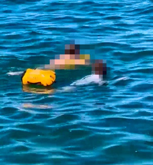 Hafen Horn TG: Schläger flüchtet vor Polizei in den See