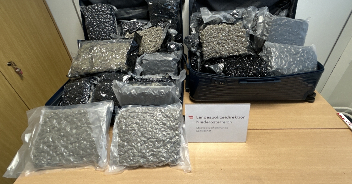 55 Kilo Cannabis am Flughafen Wien: Zwei Kuriere aus Bangkok-Flügen festgenommen